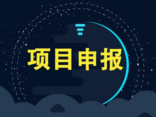 项目申报代办流程和企业为什么进